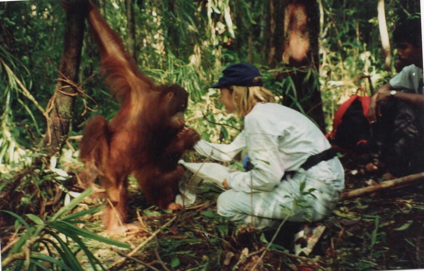 Amy McCrae Kessler during orangutan rehabilitation fieldwork in Borneo, 1992